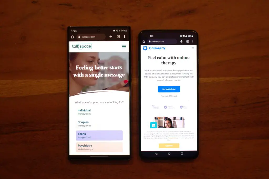 Talkspace Vs. Calmerry ⚖ Which One Is Better?